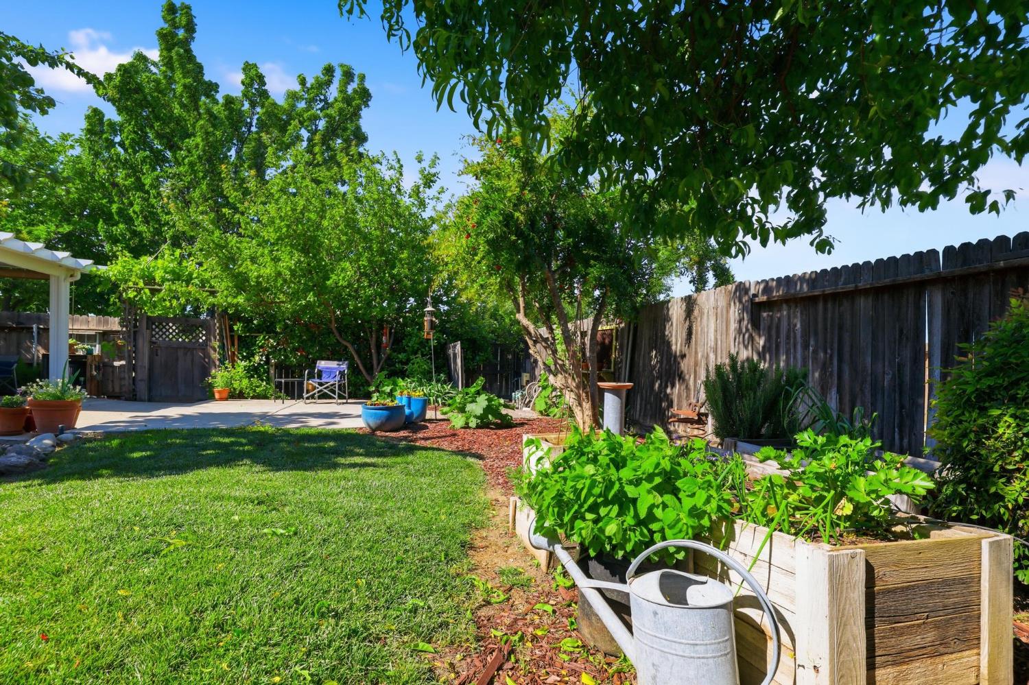 502 Waterfowl Way Williams, CA 95987 - Photo 43 of 51 a view of a backyard with table and chairs and potted plants and large trees