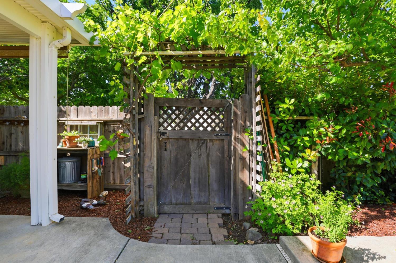 502 Waterfowl Way Williams, CA 95987 - Photo 48 of 51 a view of outdoor space and yard