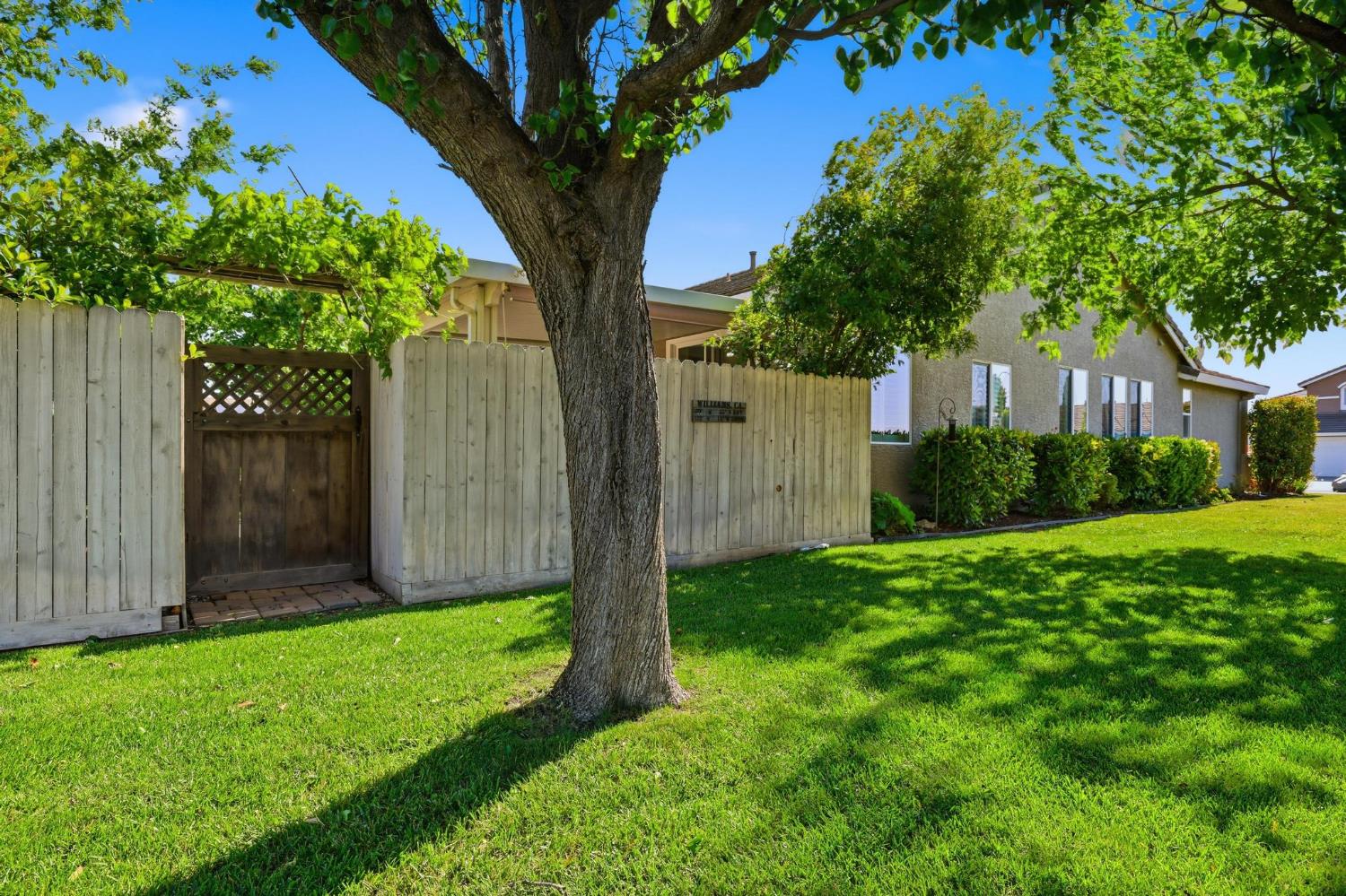 502 Waterfowl Way Williams, CA 95987 - Photo 49 of 51 a view of a yard with a tree and a fence