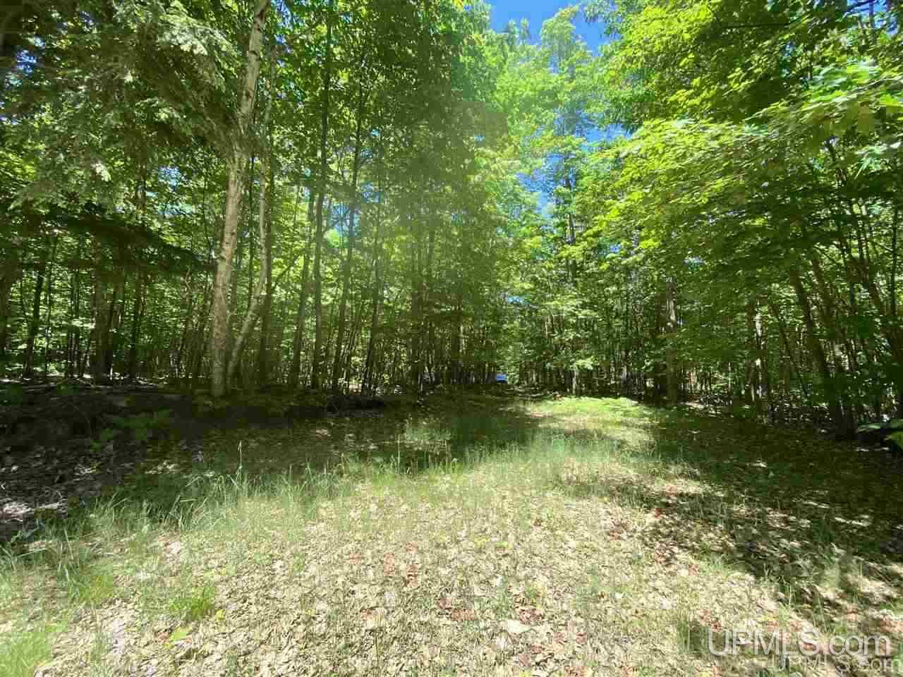3423 Co Road Big Bay, MI 49808 - Photo 21 of 27