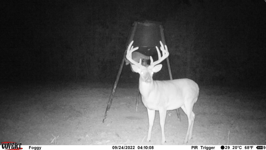 7635 Dickey Mills Road Magnolia, MS 39652 - Photo 1 of 46 Main View