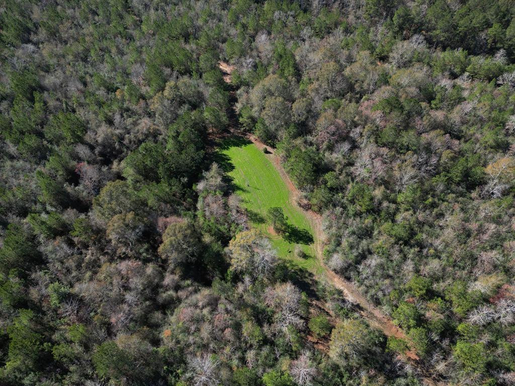 7635 Dickey Mills Road Magnolia, MS 39652 - Photo 11 of 46 Photo 11