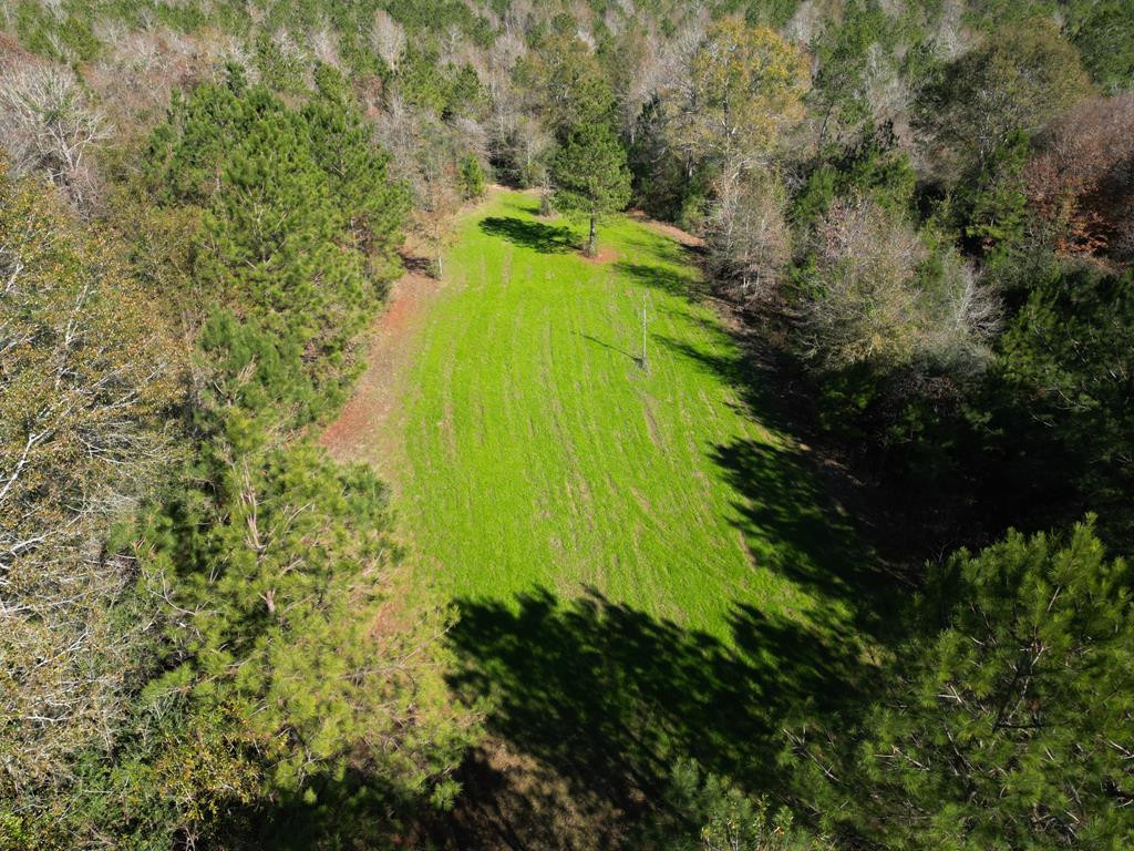 7635 Dickey Mills Road Magnolia, MS 39652 - Photo 12 of 46 Photo 12