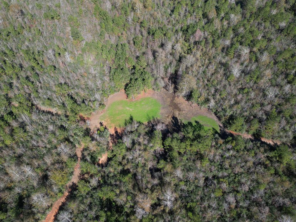 7635 Dickey Mills Road Magnolia, MS 39652 - Photo 13 of 46 Photo 13