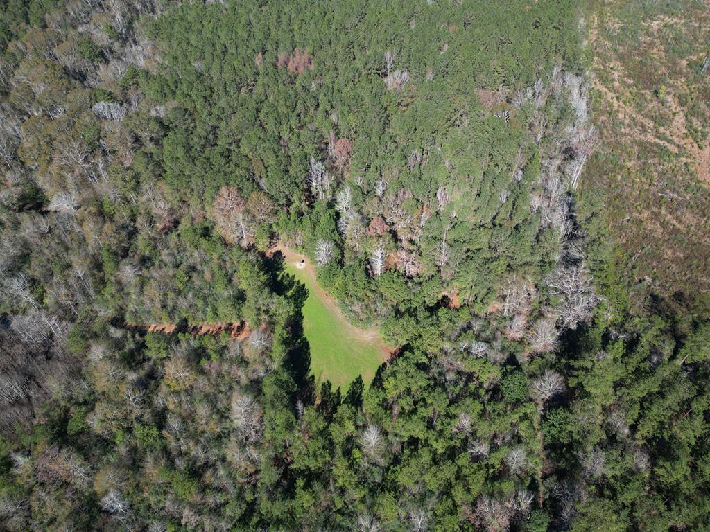 7635 Dickey Mills Road Magnolia, MS 39652 - Photo 14 of 46 Photo 14