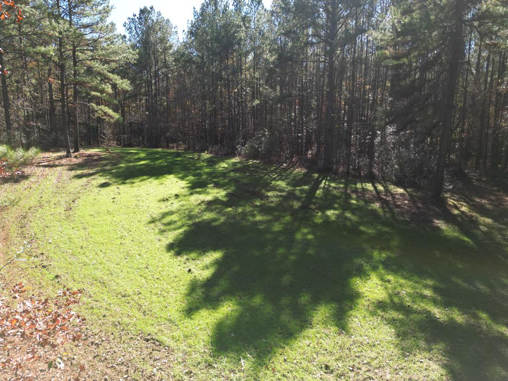 7635 Dickey Mills Road Magnolia, MS 39652 - Photo 15 of 46 Photo 15