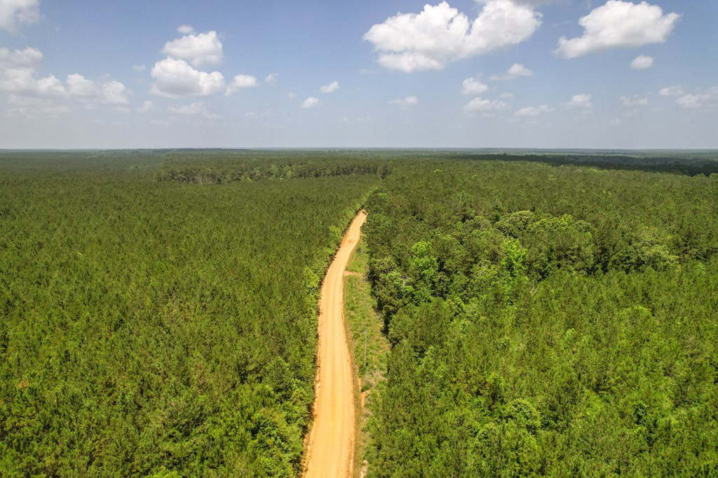 7635 Dickey Mills Road Magnolia, MS 39652 - Photo 17 of 46 Photo 17