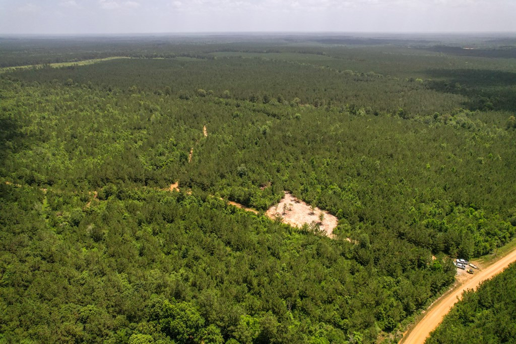 7635 Dickey Mills Road Magnolia, MS 39652 - Photo 18 of 46 Photo 18