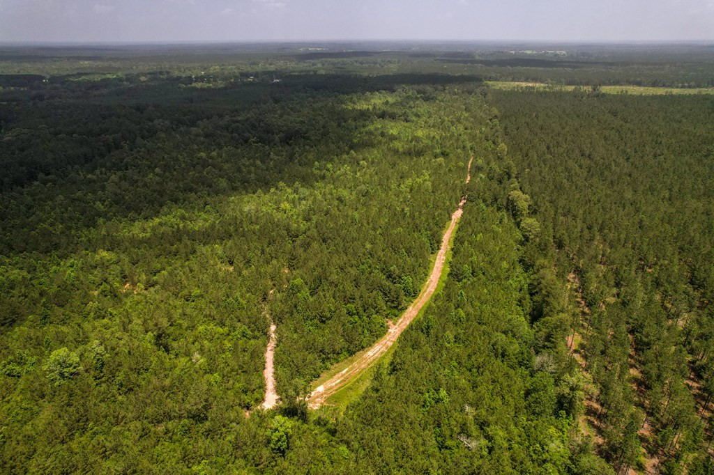7635 Dickey Mills Road Magnolia, MS 39652 - Photo 19 of 46 Photo 19