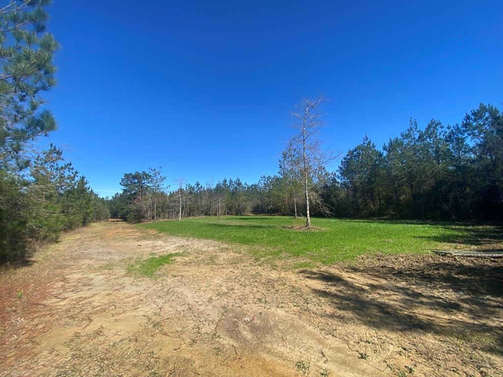 7635 Dickey Mills Road Magnolia, MS 39652 - Photo 20 of 46 Photo 20