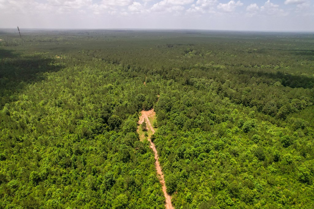 7635 Dickey Mills Road Magnolia, MS 39652 - Photo 21 of 46 Photo 21