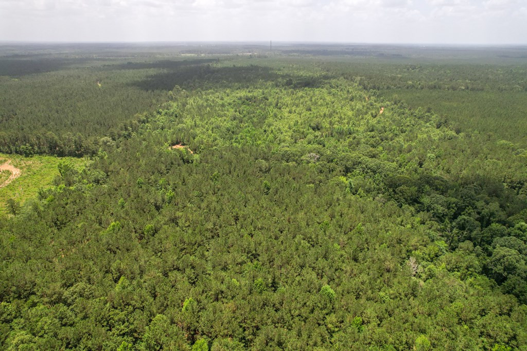 7635 Dickey Mills Road Magnolia, MS 39652 - Photo 22 of 46 Photo 22
