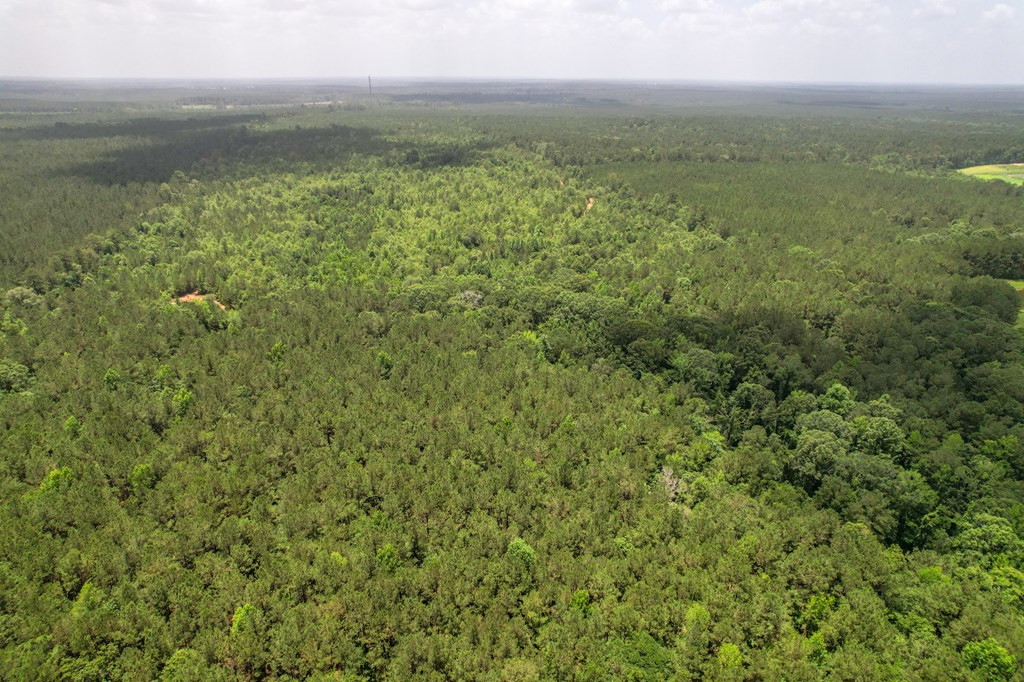 7635 Dickey Mills Road Magnolia, MS 39652 - Photo 23 of 46 Photo 23