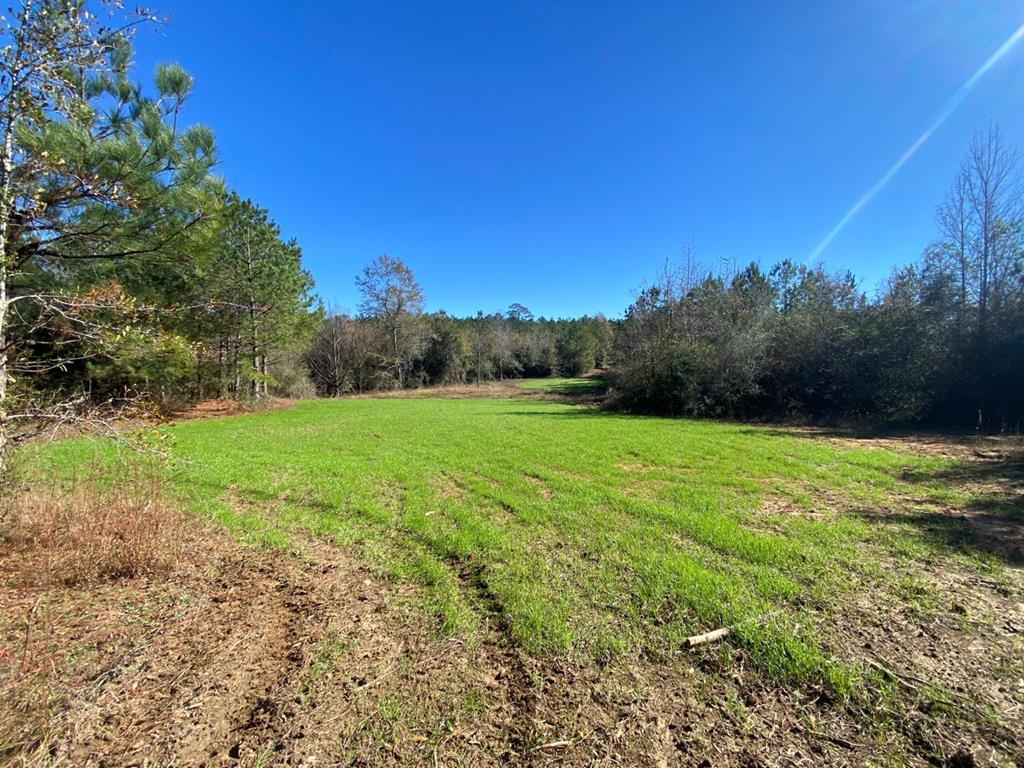 7635 Dickey Mills Road Magnolia, MS 39652 - Photo 25 of 46 Photo 25