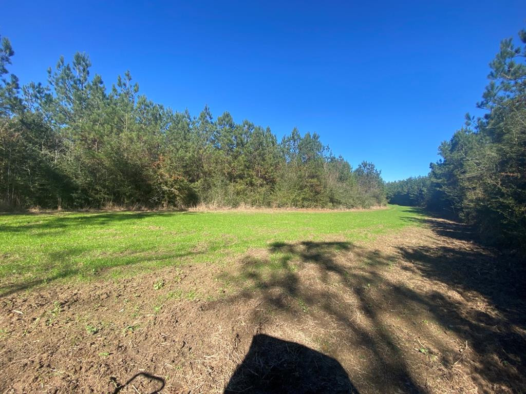 7635 Dickey Mills Road Magnolia, MS 39652 - Photo 26 of 46 Photo 26