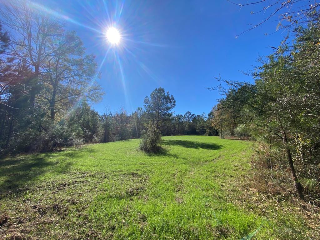7635 Dickey Mills Road Magnolia, MS 39652 - Photo 27 of 46 Photo 27