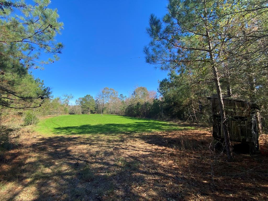 7635 Dickey Mills Road Magnolia, MS 39652 - Photo 28 of 46 Photo 28