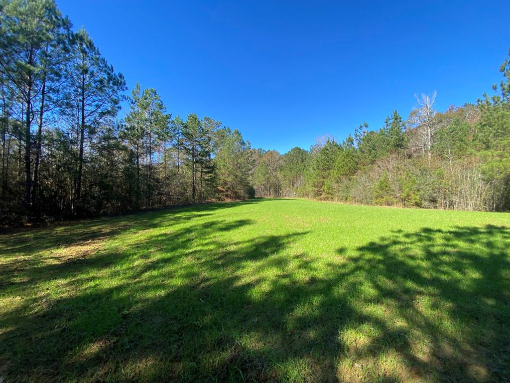 7635 Dickey Mills Road Magnolia, MS 39652 - Photo 29 of 46 Photo 29