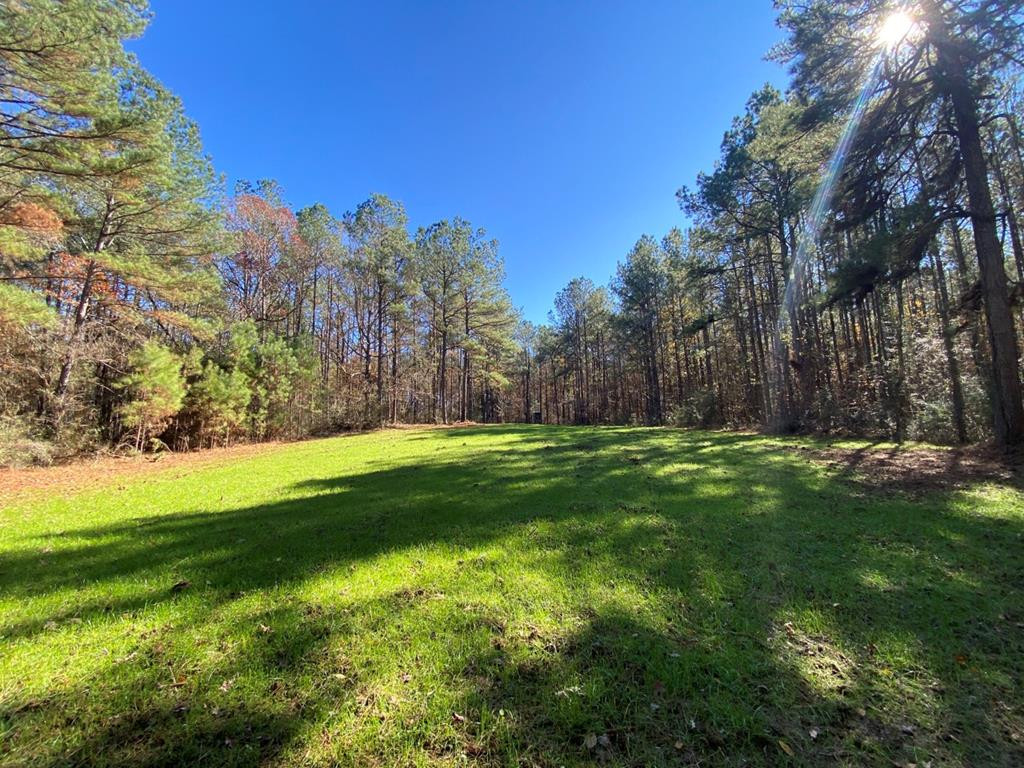7635 Dickey Mills Road Magnolia, MS 39652 - Photo 30 of 46 Photo 30