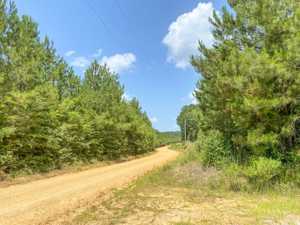 7635 Dickey Mills Road Magnolia, MS 39652 - Photo 33 of 46 Photo 33