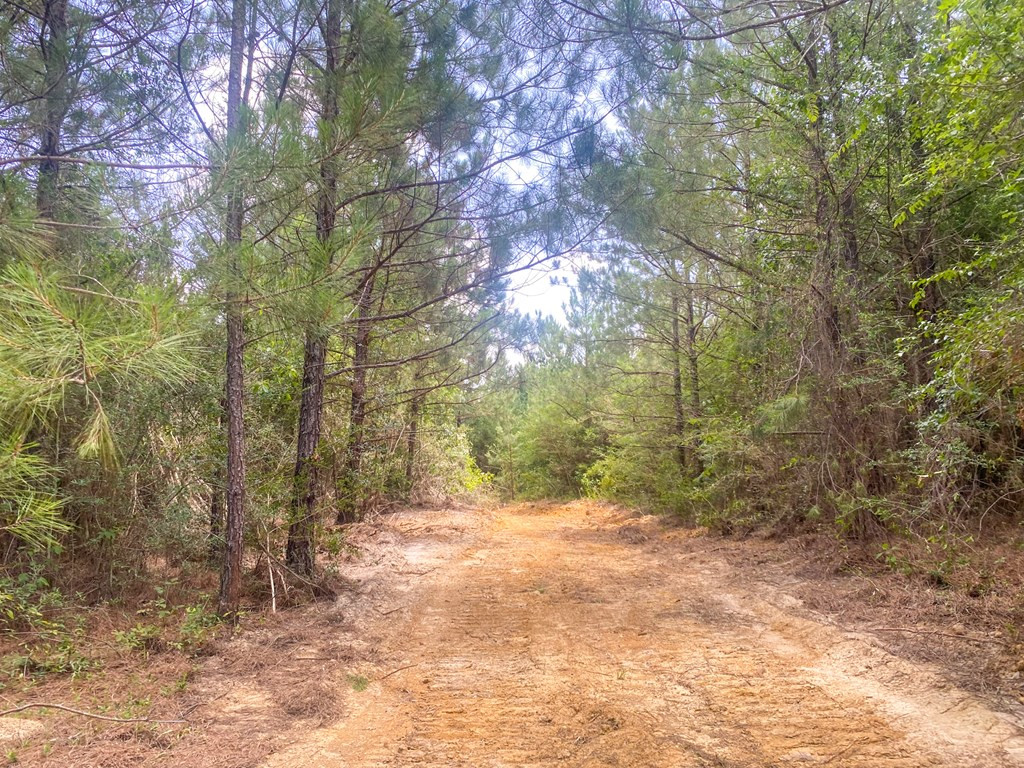 7635 Dickey Mills Road Magnolia, MS 39652 - Photo 34 of 46 Photo 34