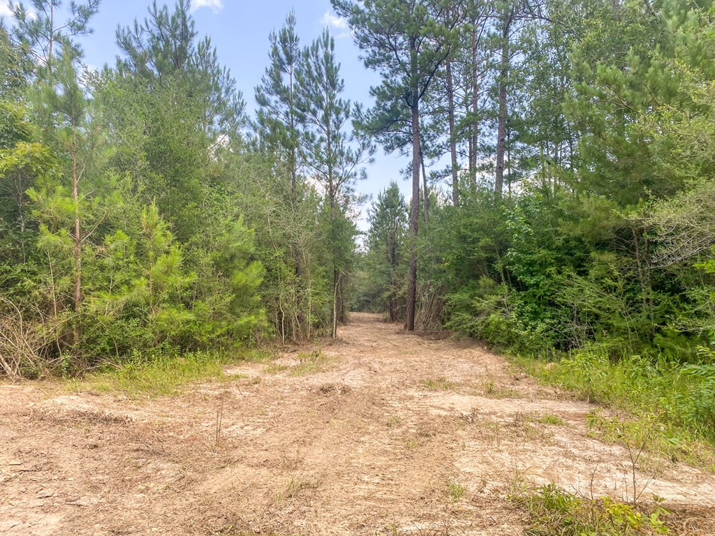 7635 Dickey Mills Road Magnolia, MS 39652 - Photo 35 of 46 Photo 35