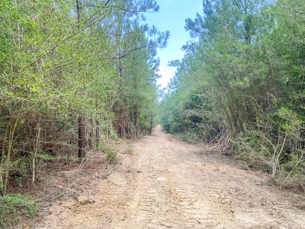 7635 Dickey Mills Road Magnolia, MS 39652 - Photo 36 of 46 Photo 36