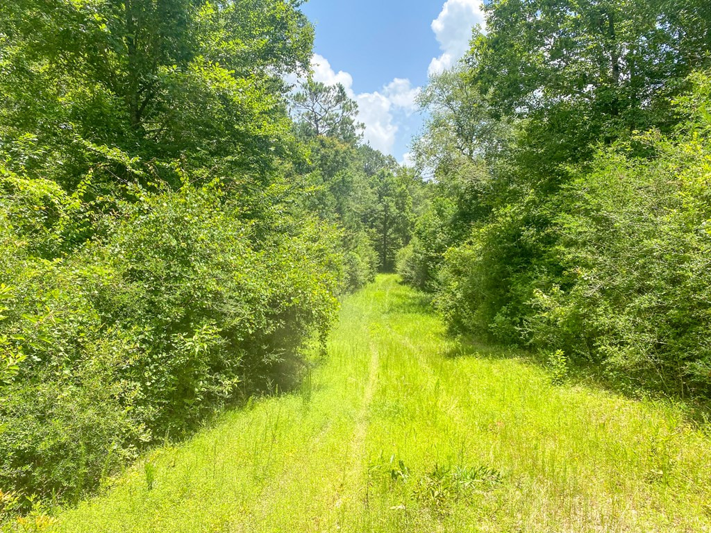 7635 Dickey Mills Road Magnolia, MS 39652 - Photo 37 of 46 Photo 37