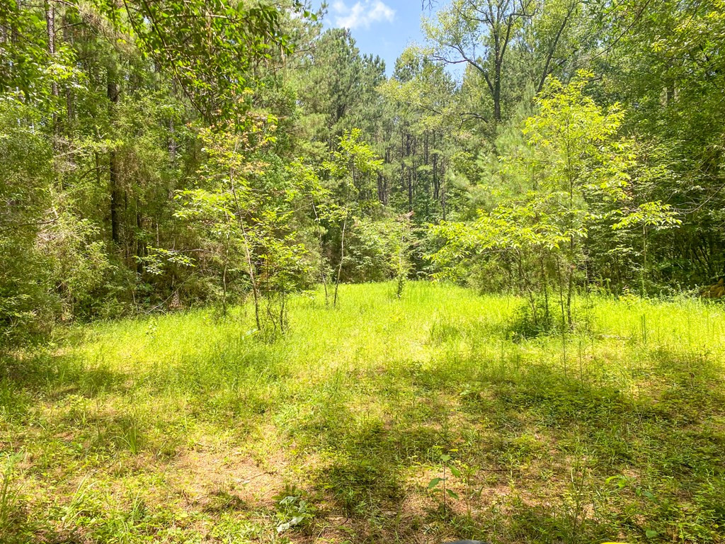 7635 Dickey Mills Road Magnolia, MS 39652 - Photo 38 of 46 Photo 38