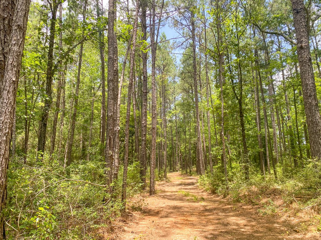 7635 Dickey Mills Road Magnolia, MS 39652 - Photo 39 of 46 Photo 39
