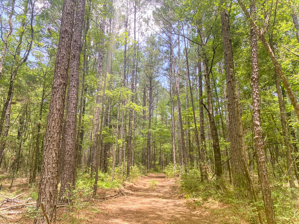 7635 Dickey Mills Road Magnolia, MS 39652 - Photo 40 of 46 Photo 40
