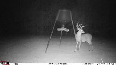 7635 Dickey Mills Road Magnolia, MS 39652 - Photo 4 of 46 Photo 4