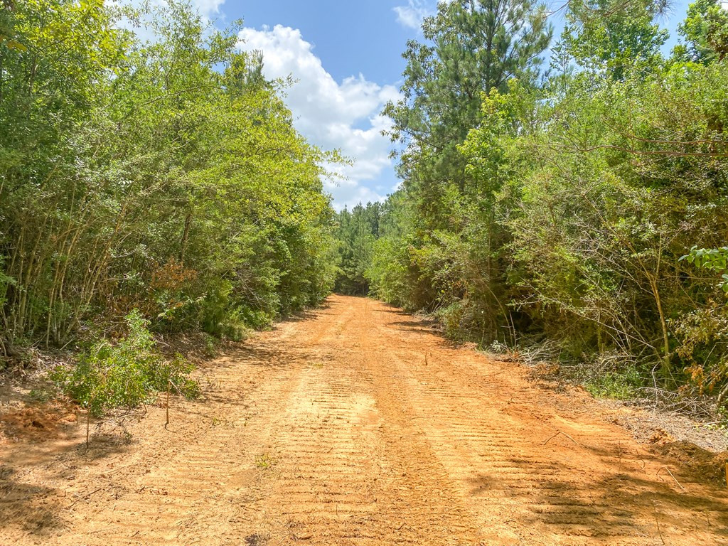 7635 Dickey Mills Road Magnolia, MS 39652 - Photo 42 of 46 Photo 42