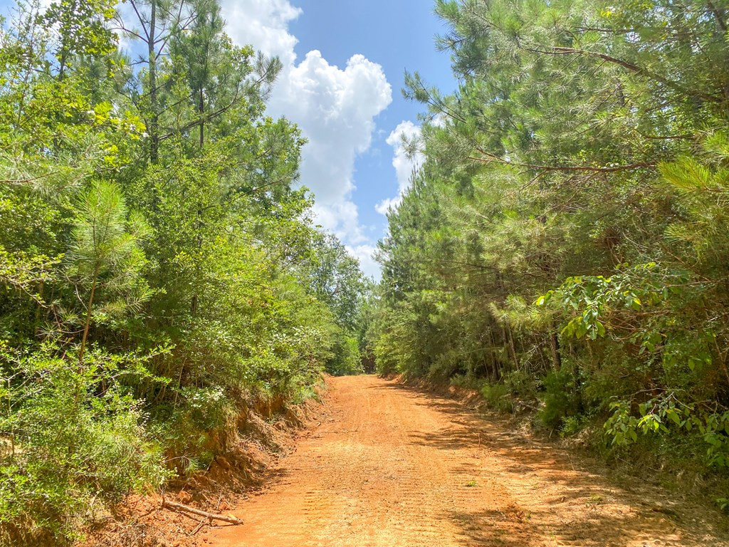 7635 Dickey Mills Road Magnolia, MS 39652 - Photo 43 of 46 Photo 43