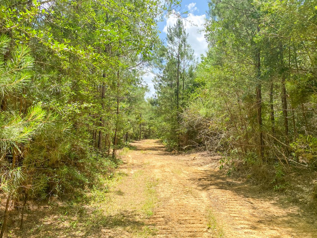 7635 Dickey Mills Road Magnolia, MS 39652 - Photo 44 of 46 Photo 44
