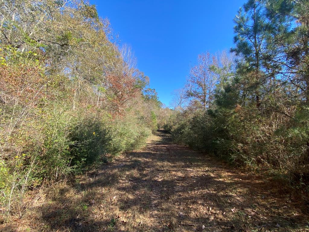 7635 Dickey Mills Road Magnolia, MS 39652 - Photo 45 of 46 Photo 45
