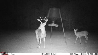 7635 Dickey Mills Road Magnolia, MS 39652 - Photo 5 of 46 Photo 5