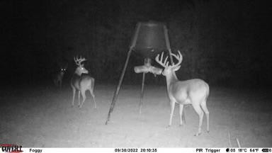 7635 Dickey Mills Road Magnolia, MS 39652 - Photo 6 of 46 Photo 6