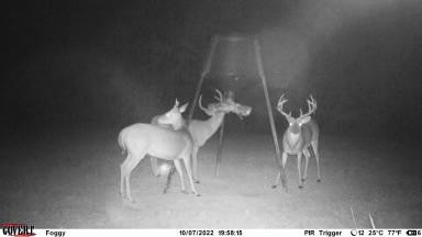 7635 Dickey Mills Road Magnolia, MS 39652 - Photo 7 of 46 Photo 7