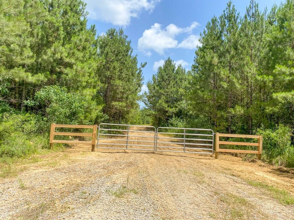 7635 Dickey Mills Road Magnolia, MS 39652 - Photo 9 of 46 Photo 9