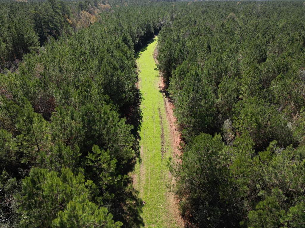 7635 Dickey Mills Road Magnolia, MS 39652 - Photo 10 of 46 Photo 10