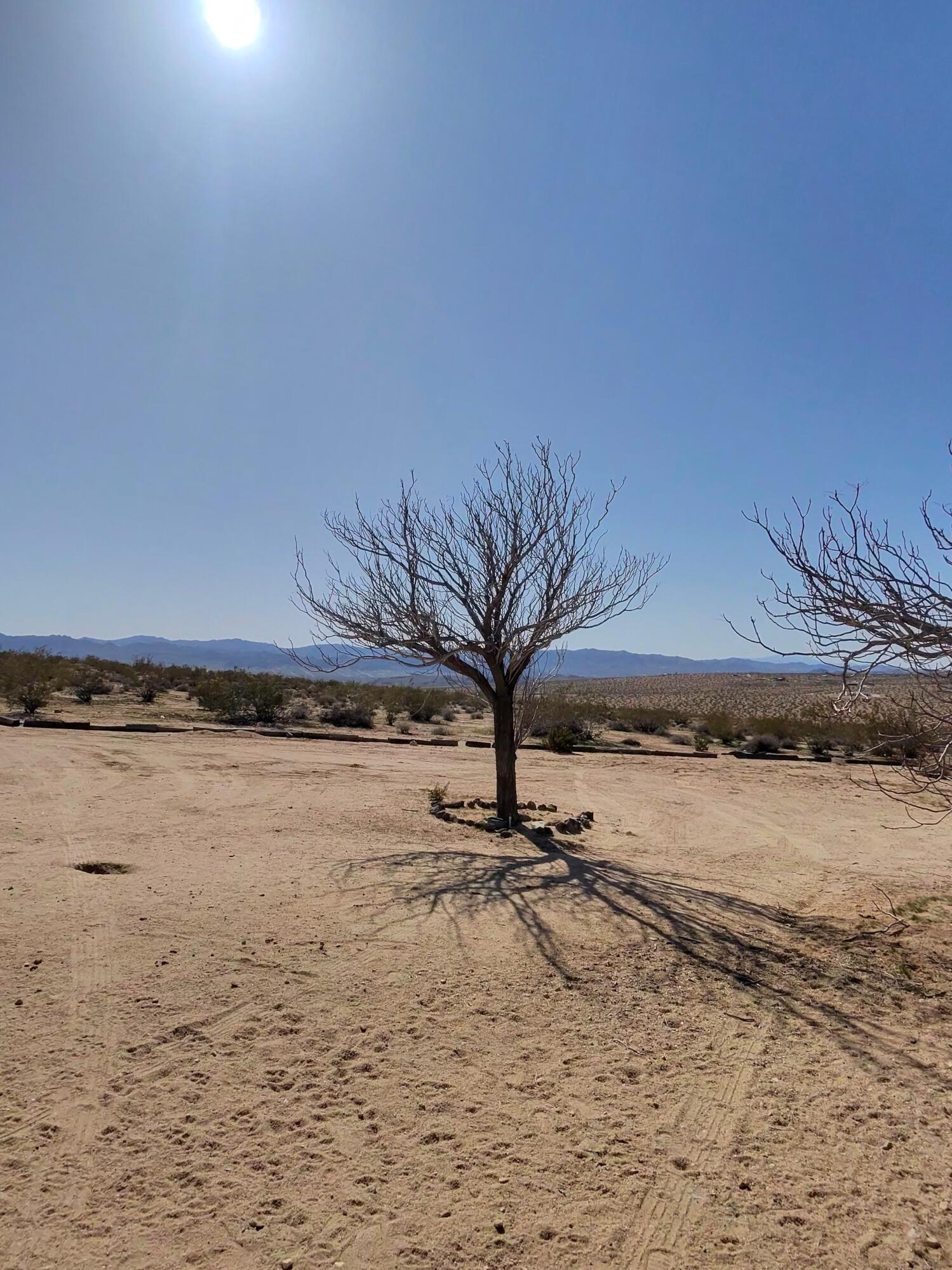 64625 Sonora Road Joshua Tree, CA 92252 - Photo 15 of 17