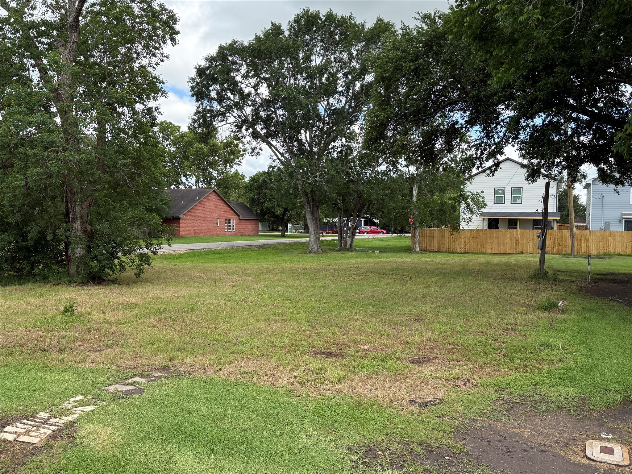 407 North 3rd Street Beasley, TX 77417 - Photo 3 of 12 a view of a trees in a yard