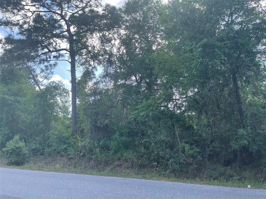 37 Craig Loop Hudson, FL 34667 - Photo 1 of 1 Gallery Image 1