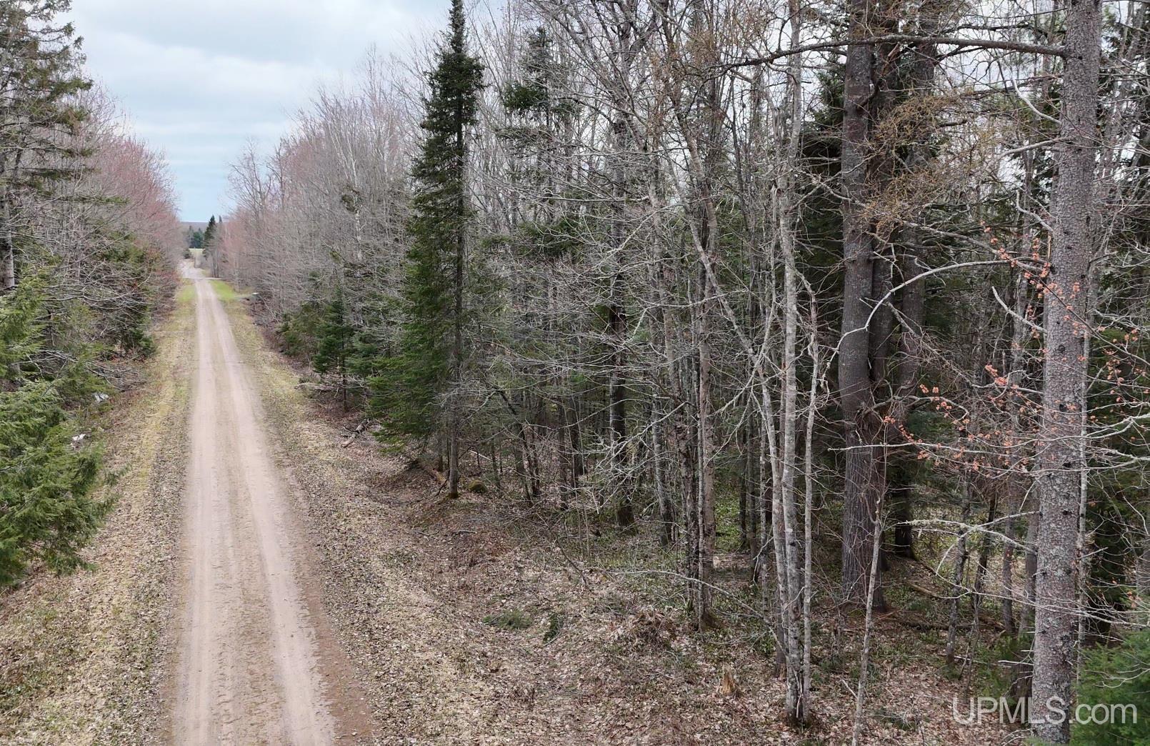 37373 Crooked Road Chassell, MI 49916 - Photo 9 of 24