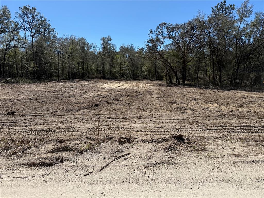0 Northeast 82nd Place Bronson, FL 32621 - Photo 1 of 4
