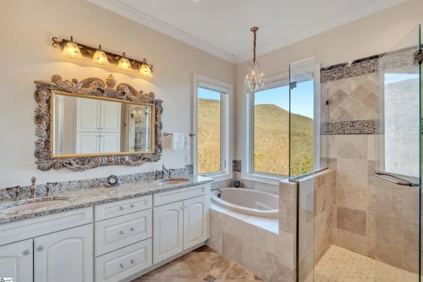 $1,600,000 | 209 Craggy Rock Lane, Landrum, SC 29356