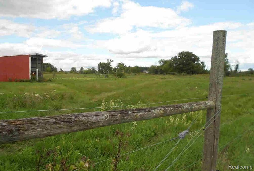 9579 Liedel Road Maybee, MI 48159 - Photo 24 of 34 Land.jpeg