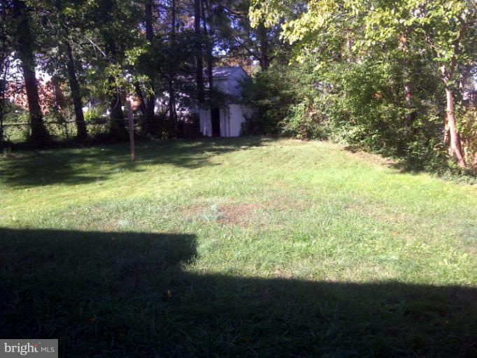 7053 Highland Street Springfield, VA 22150 - Photo 6 of 22 Back yard