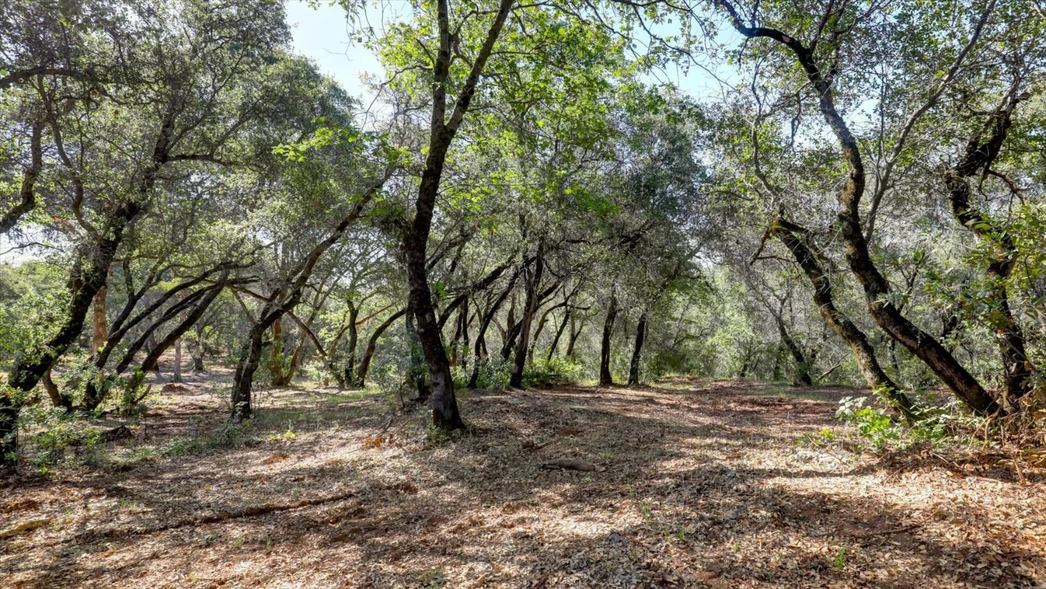 0 Southridge Road Penn Valley, CA 95946 - Photo 30 of 72